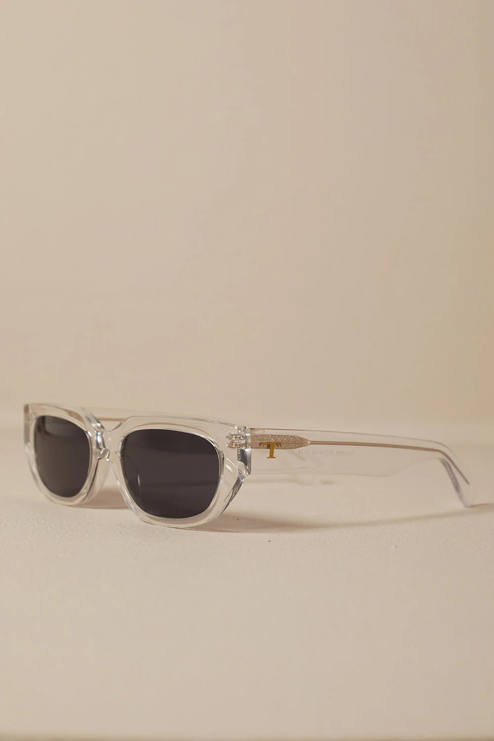 TRANSPARENT SUNGLASSES