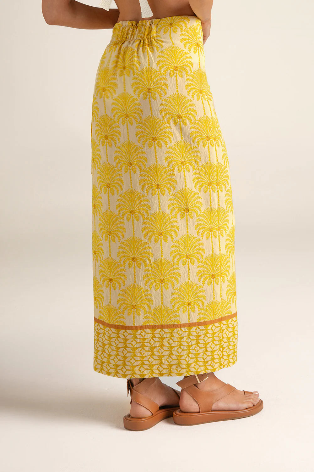 PALMERA PAREO